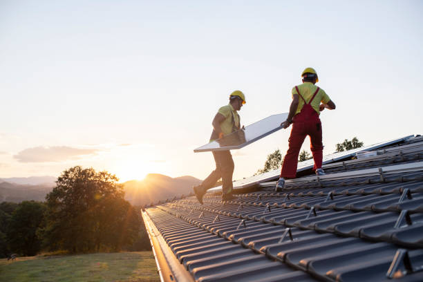 Best Roof Coating and Sealing  in Lakeview, MI