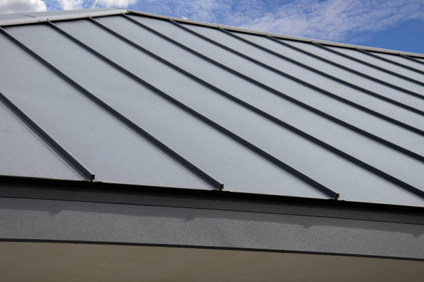 Best Roof Maintenance and Cleaning  in Lakeview, MI